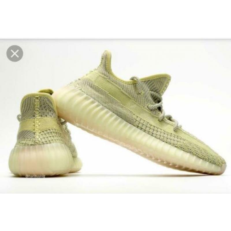 Adidas Yeezy Boost 350 V2 Antlia