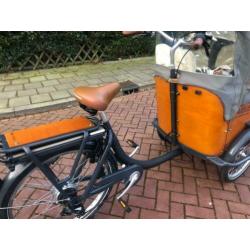 Babboe Curve Elektrische NN7s dr ,Huif en Peuterschaal