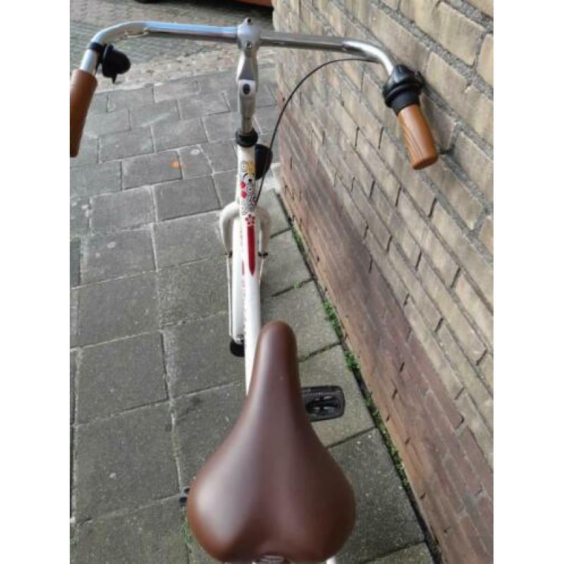 Meisjes fiets