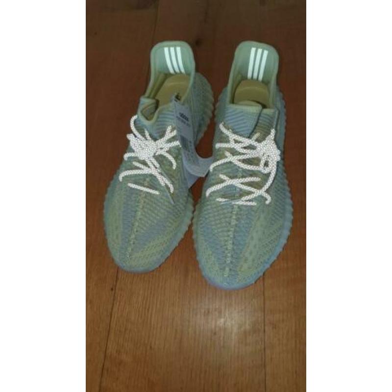 Adidas Yeezy Boost 350 V2 Antlia