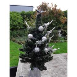 Kerstboom